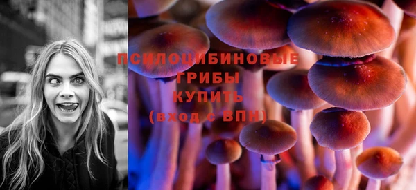 гидра Алексеевка