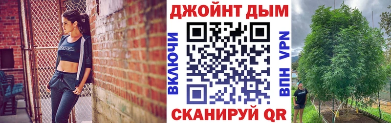 Канабис сатива  Спасск 